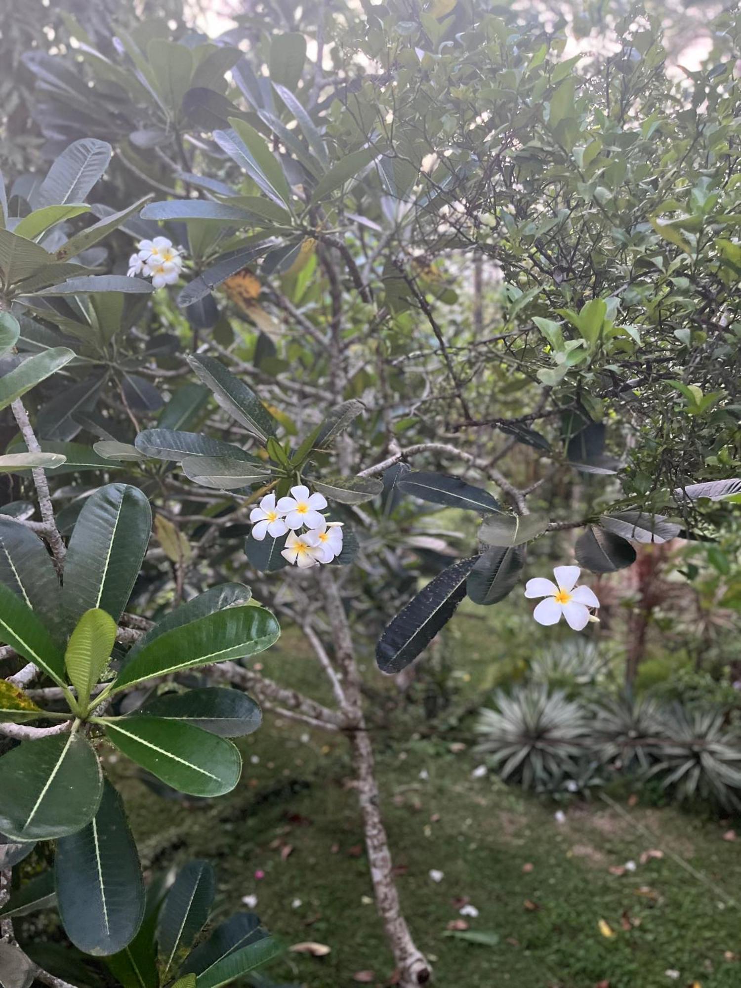 Swarnapaya Residence 벤토타 외부 사진